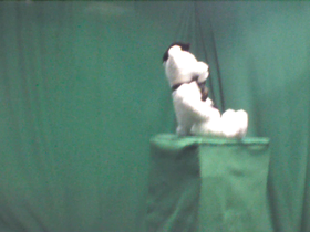 135 Degrees _ Picture 9 _ White Bear Wearing Graduation Cap.png